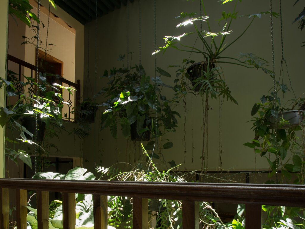 Канди: Отель Oak Ray Serene Garden Hotel