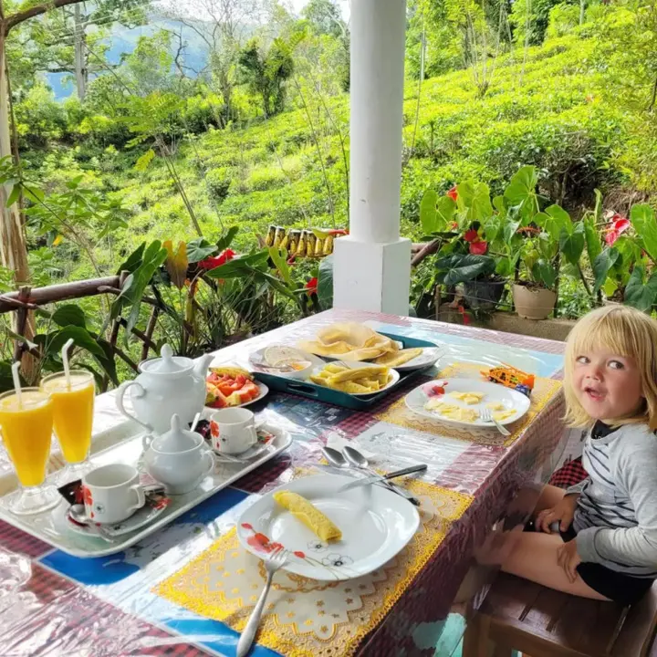 Элла: Ella Okreech Cottages