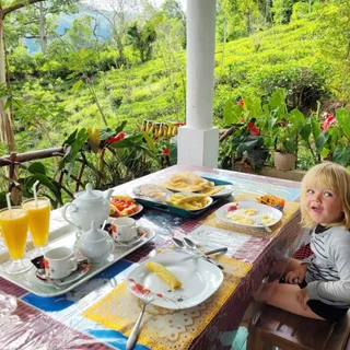 Элла: Ella Okreech Cottages