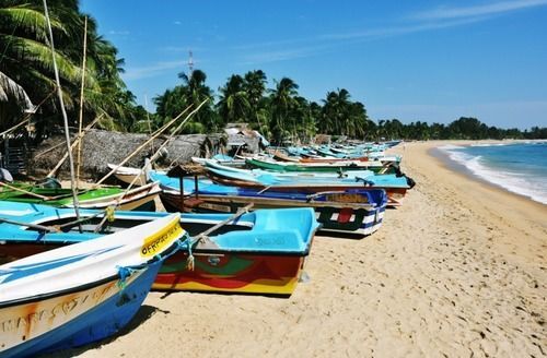Arugamabay Surf Resort Hotel — фото 2