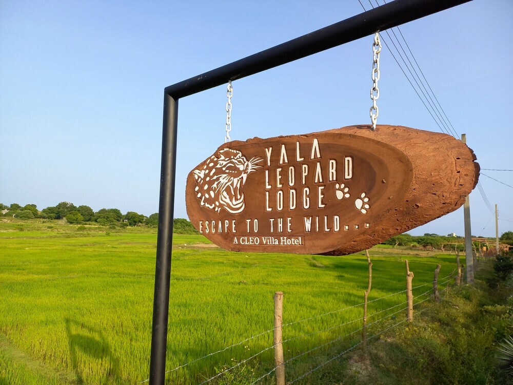Киринда: yala leopard lodge
