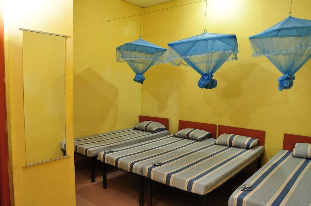 Коломбо: City Motel