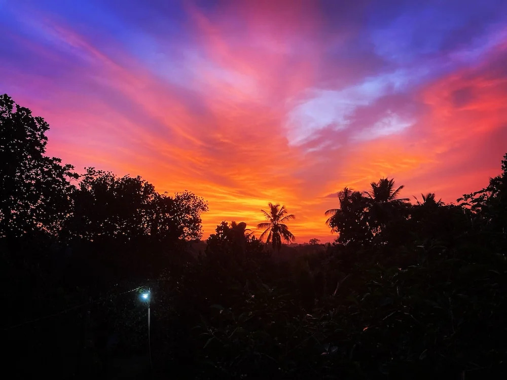 Coconut Island — фото 4