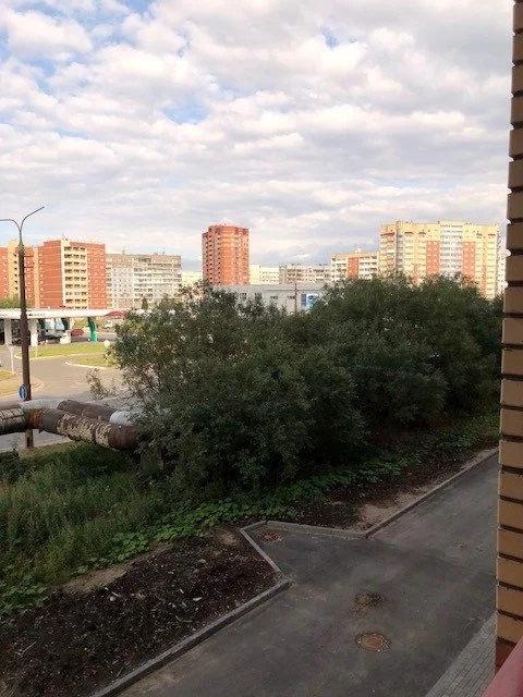 Архангельск: Апартаменты на Московском