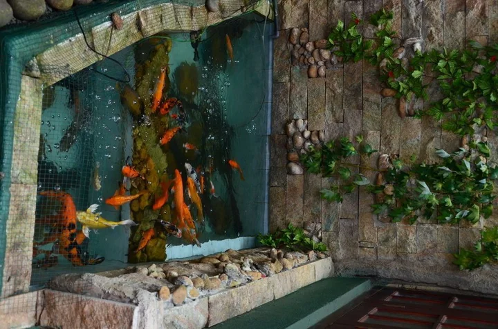 Канди: Kandy Paradise Resort