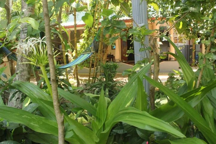 Унаватуна: Dionis Villa