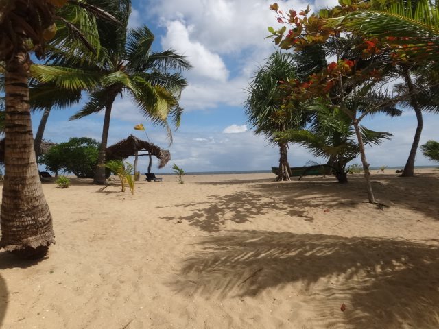 Pastissade Beach Hotel — фото 5