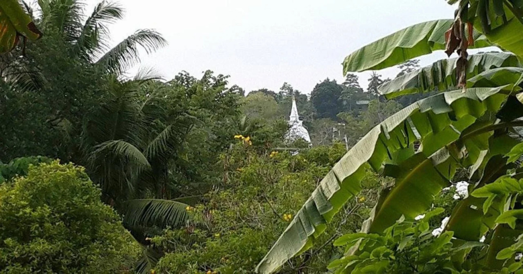 Велигама: Robinhill Suites