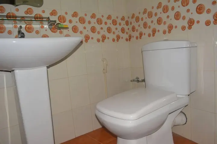 Коломбо: Saasha City Hotel