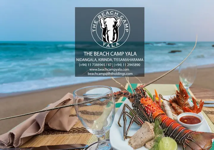 Киринда: The Beach Camp Yala