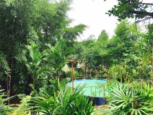 Панадура: Green Retreat Holiday Resort