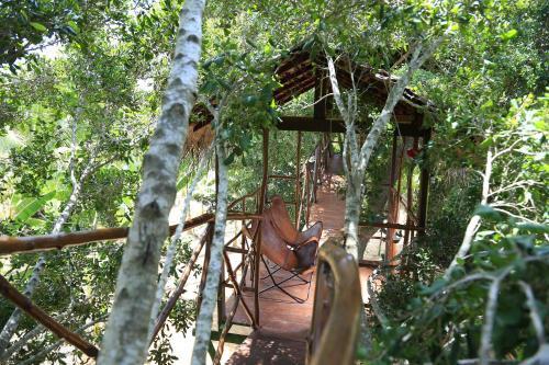Yala Luxury Tree House — фото 1