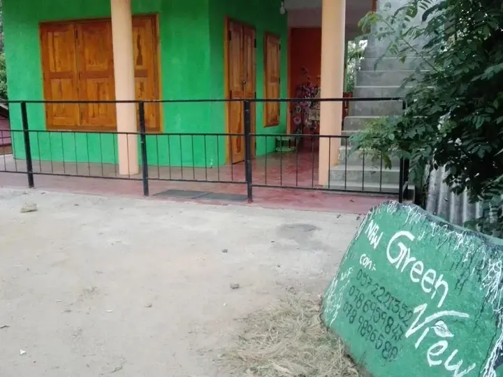 Элла: New Green View