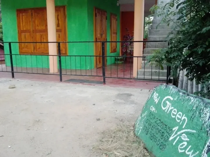 Элла: New Green View