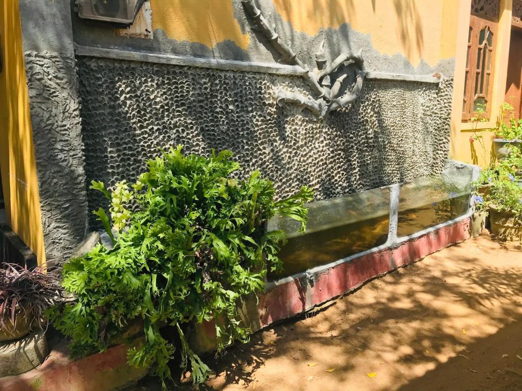Киринда: Temple Flower Guest
