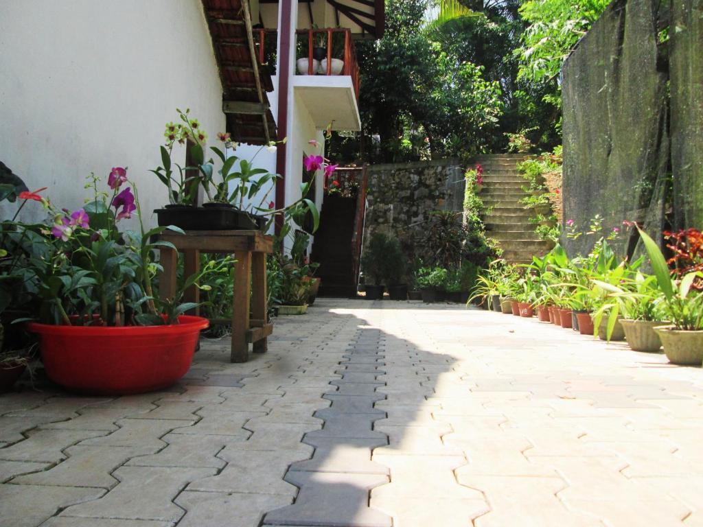 Хиккадува: Ranga Villa