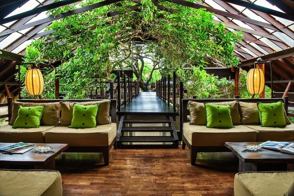 Куччавели: Jungle Beach Resort
