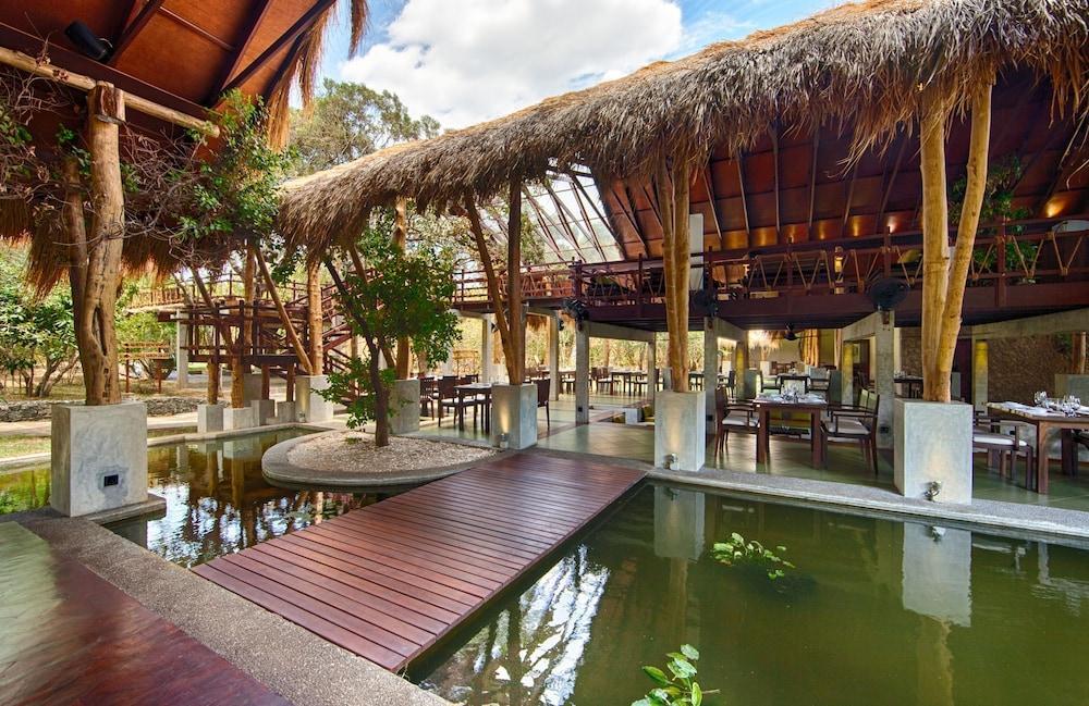 Куччавели: Jungle Beach Resort