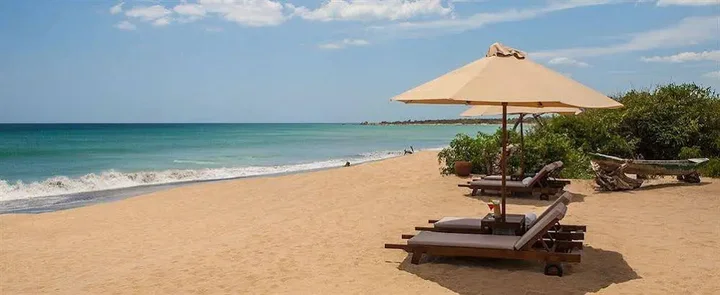 Куччавели: Jungle Beach Resort