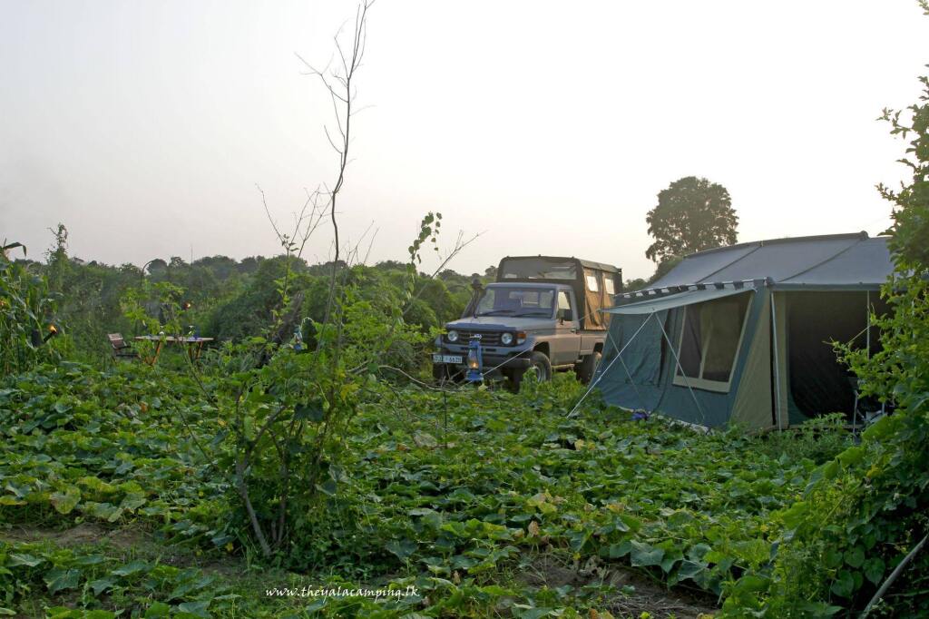Киринда: The Yala Camping