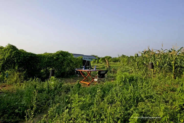 Киринда: The Yala Camping