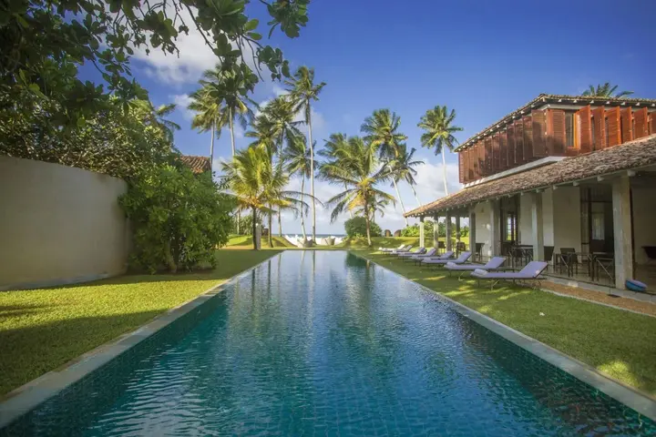 Тальпе: The Frangipani Tree By Edwards Collection