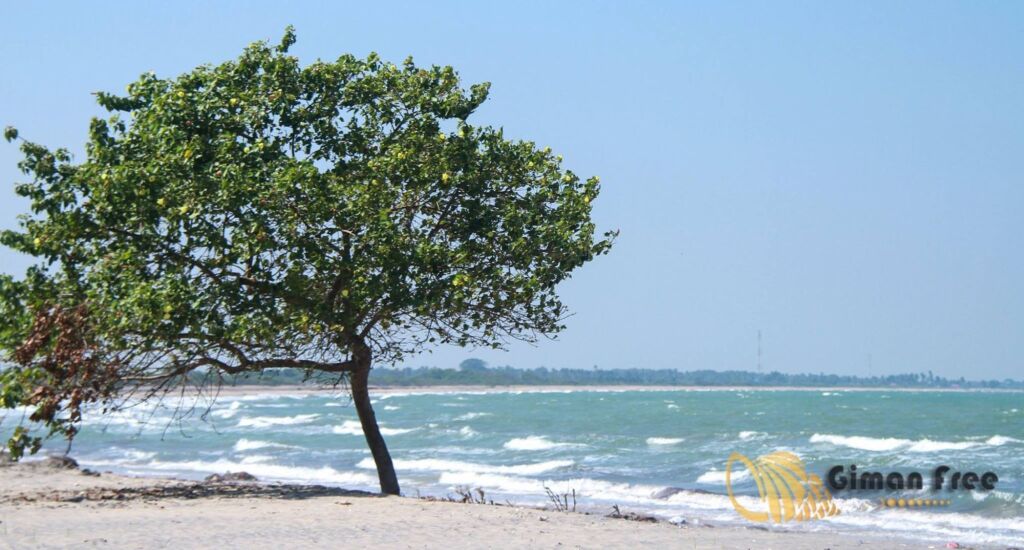 Калкудах: Giman Free Beach Resort