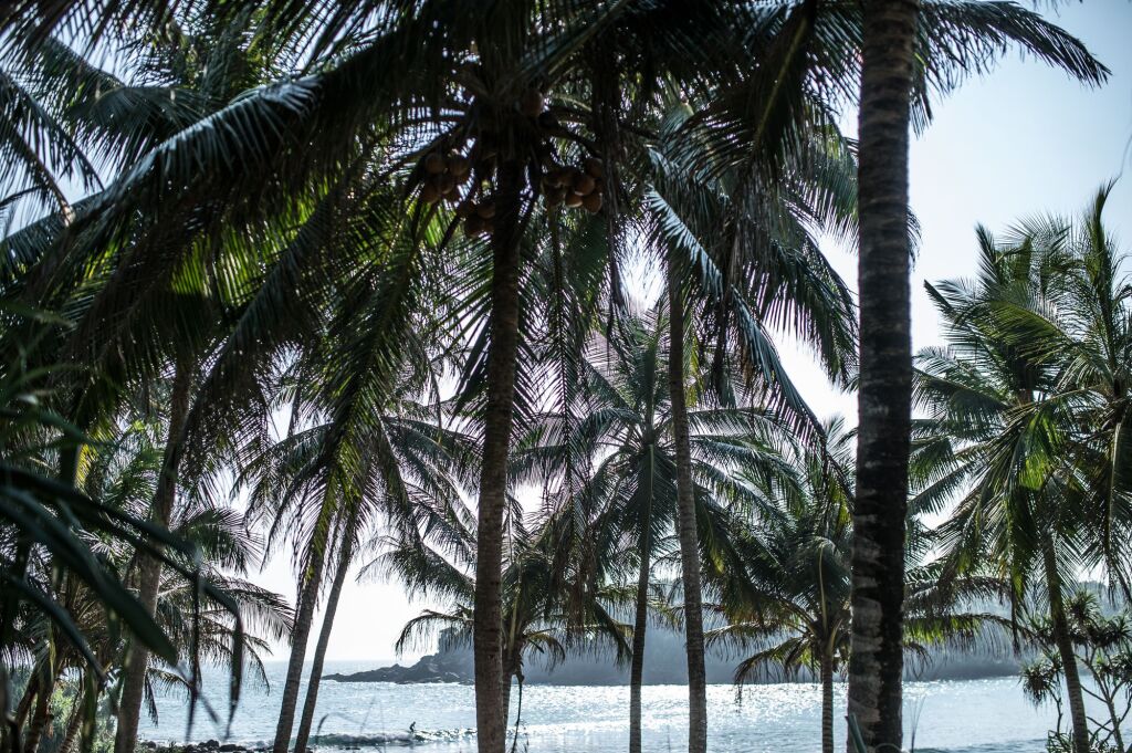 Диквелла: Jasper House Sri Lanka