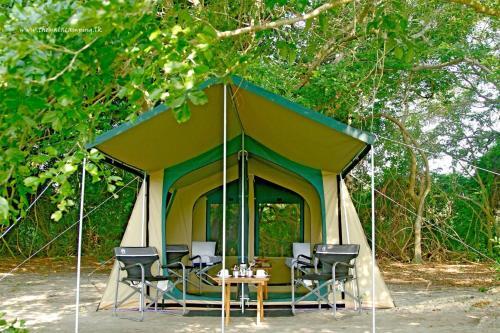 Киринда: Wild Trails by Amaya