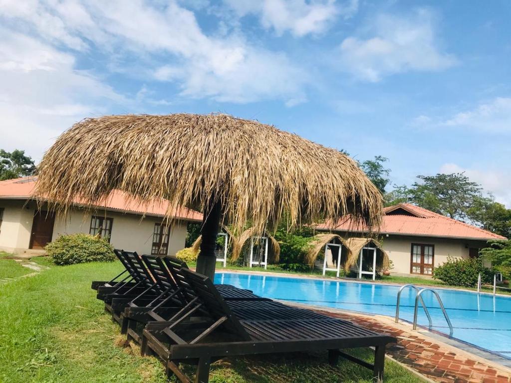 Тиссамахарама: Hibiscus Garden Hotel