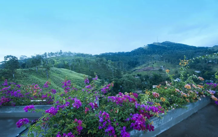 Канди: Skyloft Kandy by Aaradhaya