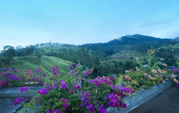 Канди: Skyloft Kandy by Aaradhaya