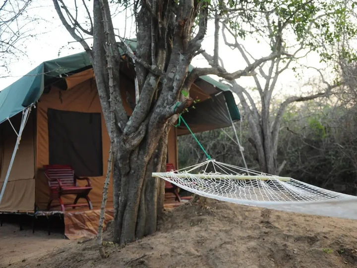 Киринда: Yala Bear Safari Camp Tents