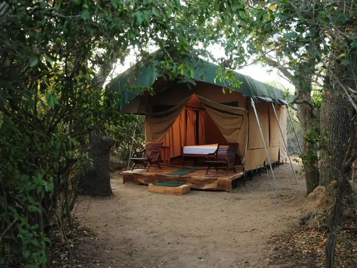 Киринда: Yala Bear Safari Camp Tents