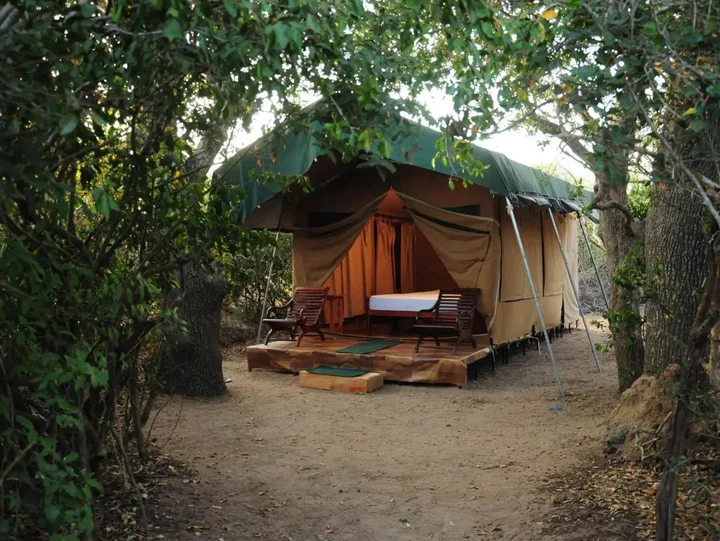 Киринда: Yala Bear Safari Camp Tents