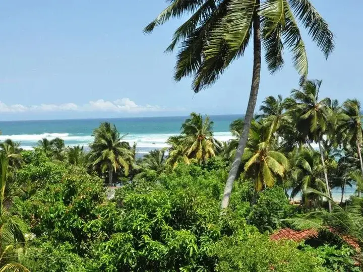 Мирисса: Amanda Resort Mirissa