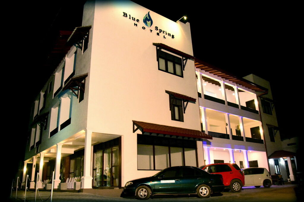 Blue Spring Hotel — фото 1