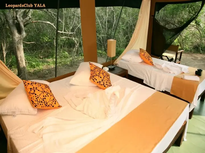 Киринда: Leopards Club Yala