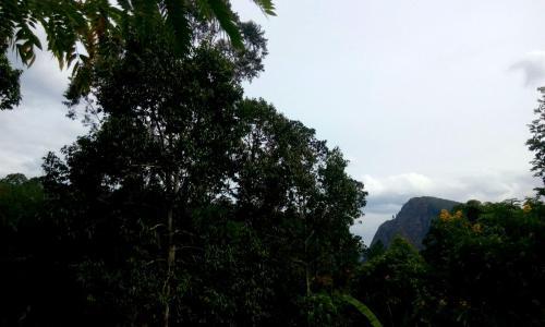 Элла: Aroma Heaven Homestay