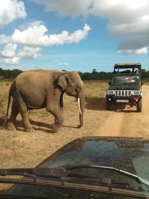 NATURE LOVERS family SAFARI RESORT — фото 3