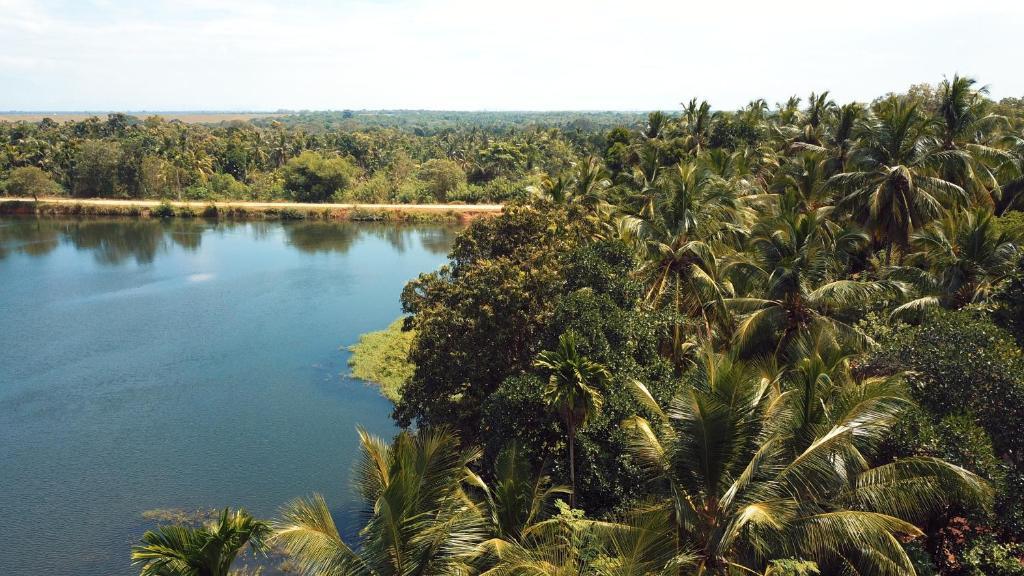 splendid lake view safari lodge — фото 3