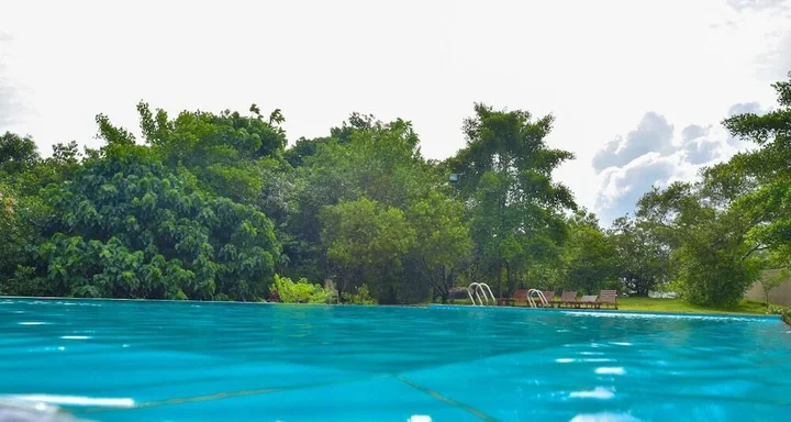 Пиннавала: Bogala Village Eco Resort
