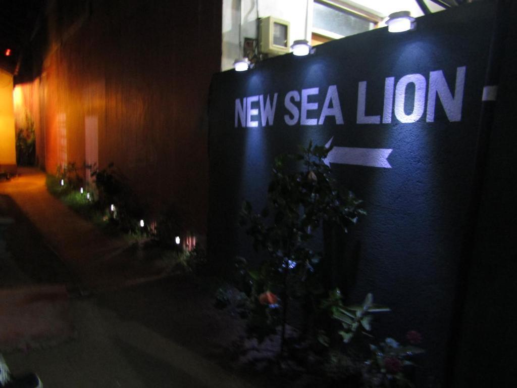New sea lion guest house — фото 1