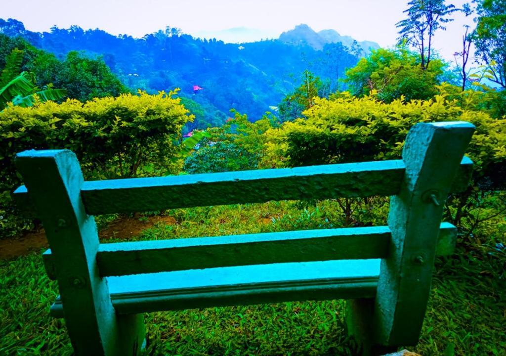 Элла: Every view homestay