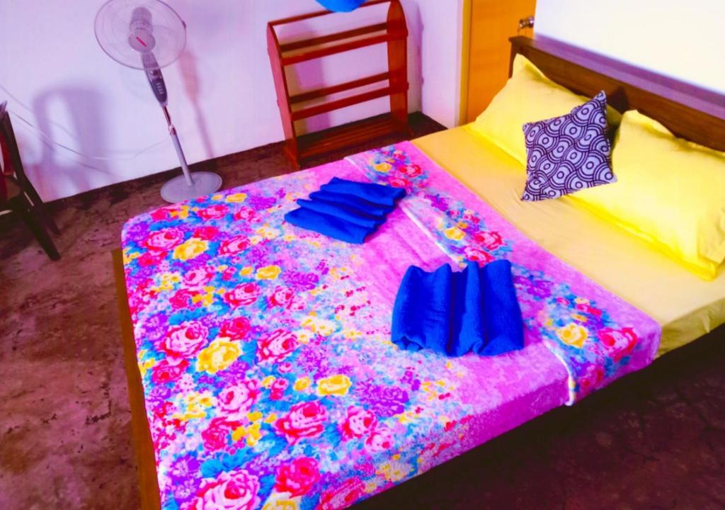 Every view homestay — фото 1