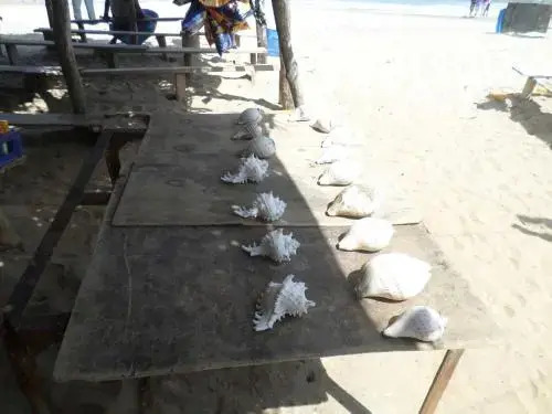 Киринда: Kirinda Beach Front Hotel