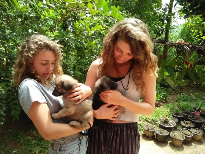 Элла: Bella Ella