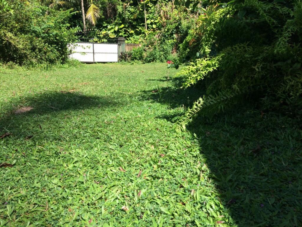 Полватумодара: Weeragiri Homestay