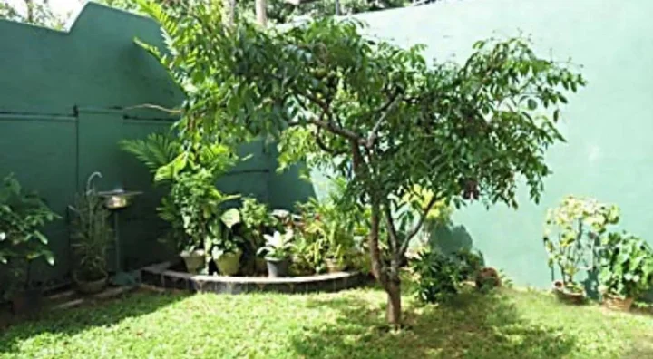 Гора Lavinia: Vista Mount Lavinia Homestay
