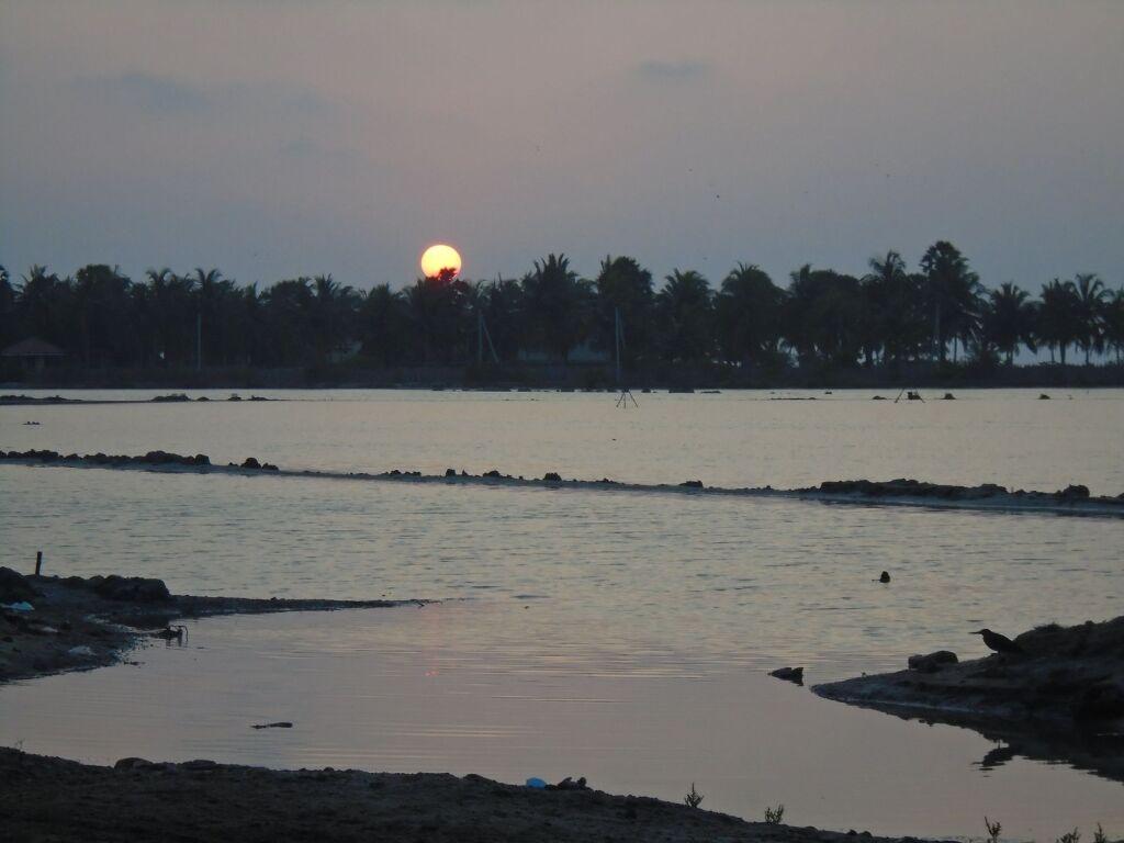 Кандакули: Kite Bay Resort Kalpitiya
